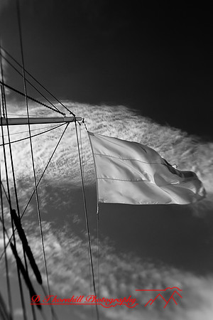 bay-city-tall-ships-2010-infared_16-nik