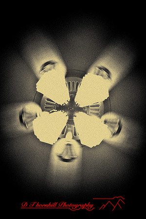 infrared-2009-random_01-nik.jpg