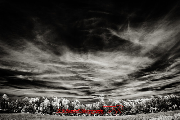 infrared_images-2012-027-nas