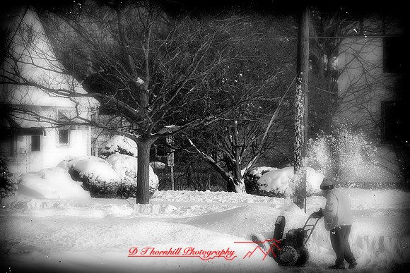 assorted_images-2012-056-nas