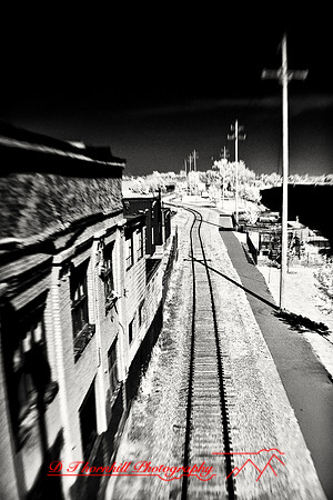 infrared-2009-random_37-nik.jpg