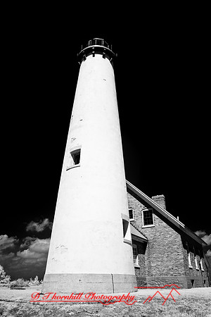 tawas-state-park-infrared-2008_029