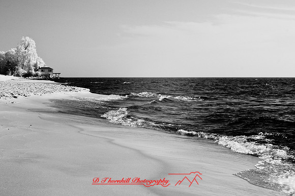 tawas-state-park-infrared-2008_002