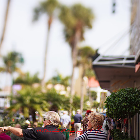 florida-2013-images-137