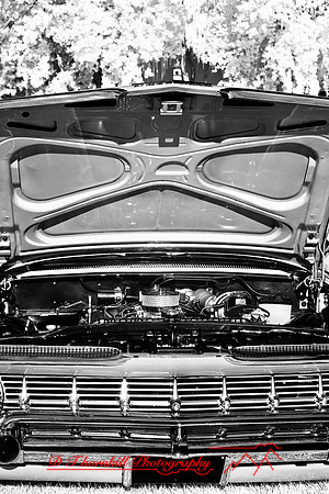 muth-car-show-infrared-2008_01
