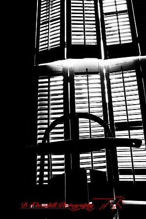 assorted_images-2007-62