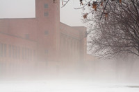 assorted_images-2008_58.jpg