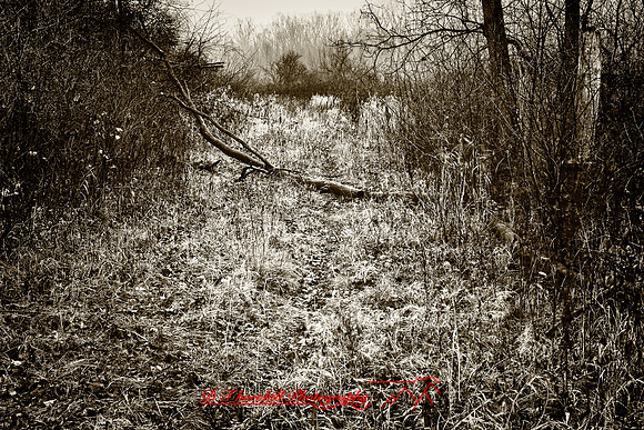 shiawassee_nov-hdr-2010_2-1_HDR