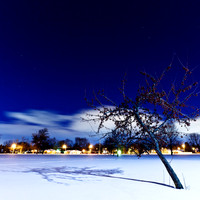 2012 Color