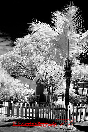 FL-March 2018-181_DxO
