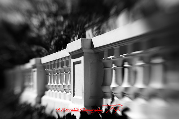 florida-2009-images_40-nik.jpg