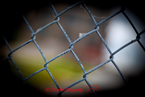 assorted_images-2012-083-nas