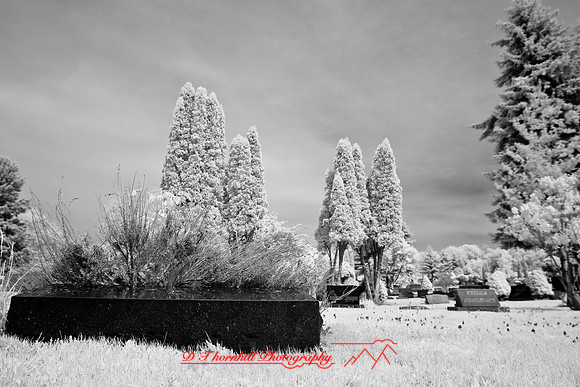 infrared-2008_060