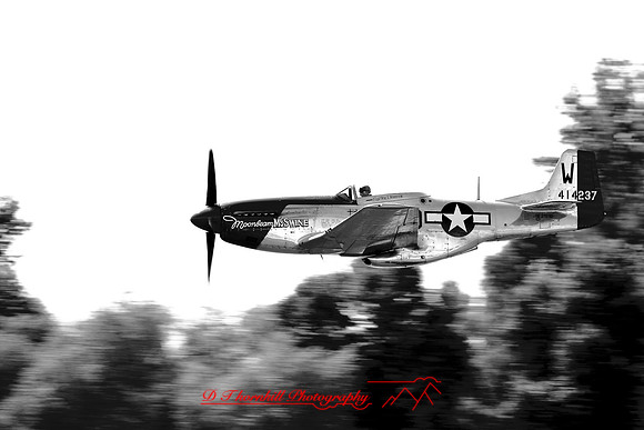 bc-airshow-2007-p51_27