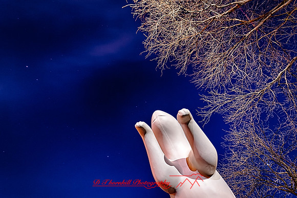 assorded_images-2012_3-01_HDR