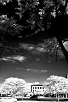 infrared-2008_006