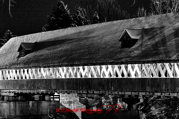 assorted_images-2011-125-nas
