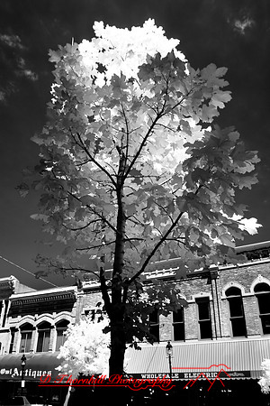 bay_city-infrared-2008_25