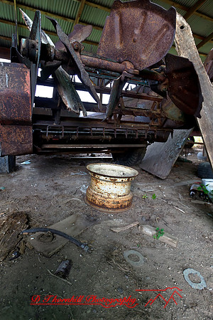 assorted_images-2011-45-nas