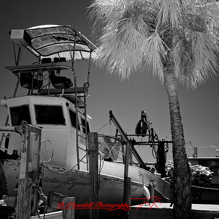 FL-March 2018-179_DxO
