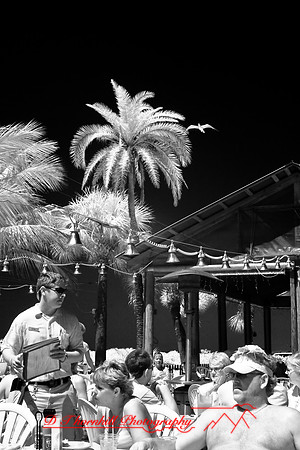 florida-2008-people-infrared_23.jpg