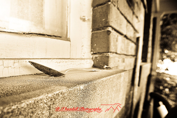 assorted_images-2007-31