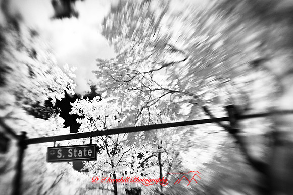 infrared-2009-random_29-nik.jpg