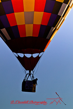 midland-balloon-2011-36