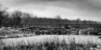 bay city state parks- 2021 - 010-nik-ps