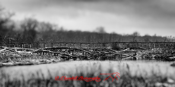 bay city state parks- 2021 - 010-nik-ps