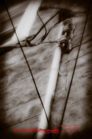 infrared_images-2011-33