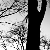 long_exposure_images-2013-069