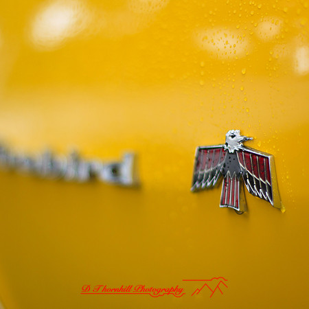 frankenmuth-car-show-2013-26