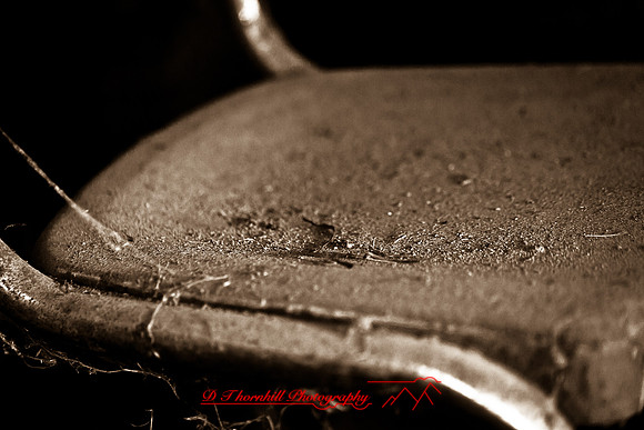 assorted_images-2011-201