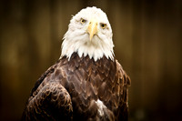 saginaw-zoo-2011-03