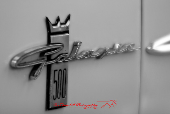 muth-car-show-infrared-2008_56