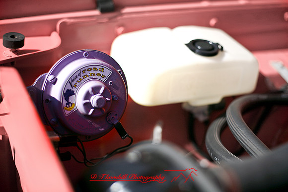 frankenmuth_auto-2007-41