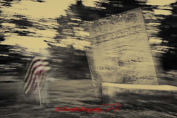 assorted_images-2011-134-nas