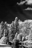 dow-gardens-infrared-2011-06