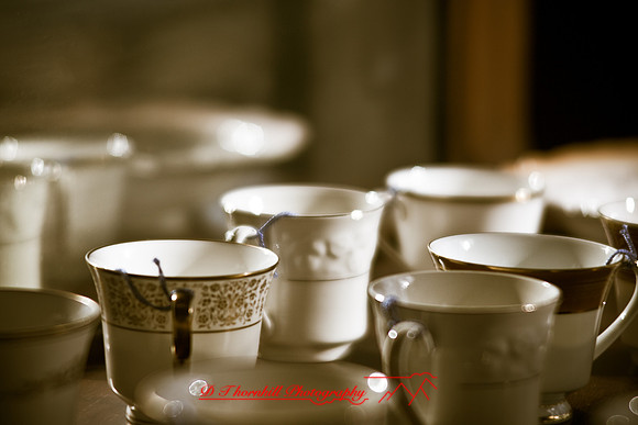 assorted-images-2010_053
