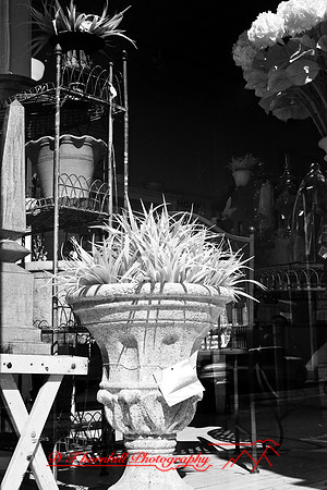 bay_city-infrared-2008_08