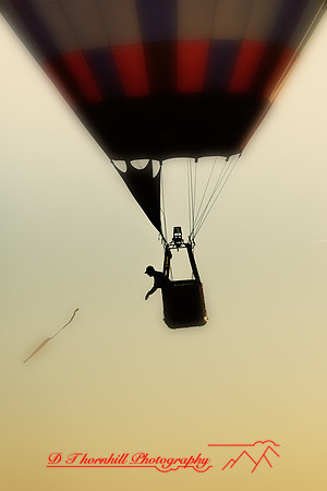 midland-balloon-2011-40-nas