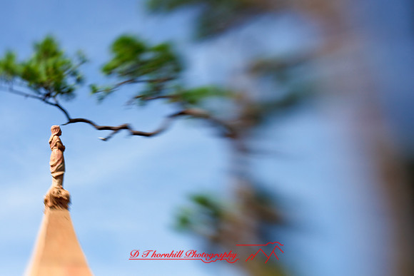 florida-2009-images_20.jpg