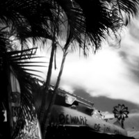 florida - pinhole - 2022 - 014