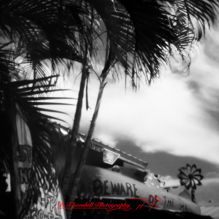 florida - pinhole - 2022 - 014