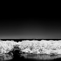florida-2014-infrared-015