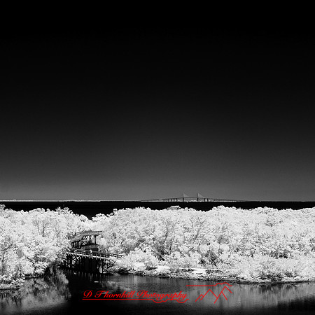 florida-2014-infrared-015