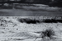 florida-2010-infrared-nature_12-nik