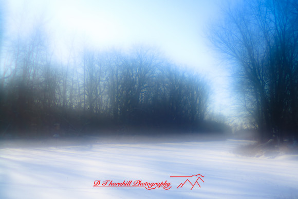 shiawassee_january-2010_02.jpg