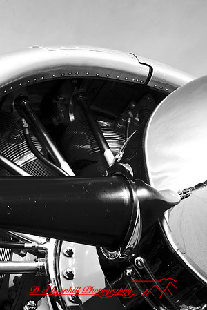 bc-airshow-2007-rebels_15